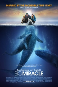 Plakát filmu Máme rádi velryby / Big Miracle