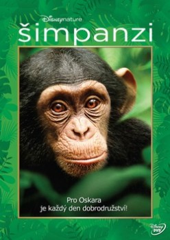 Chimpanzee - 2012