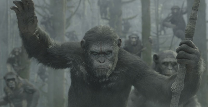 Fotografie z filmu  / Dawn of the Planet of the Apes
