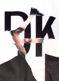 DK - 2013