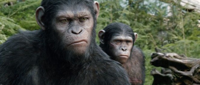 Foto: Opice mají brokovnice v Úsvitu Planety opic