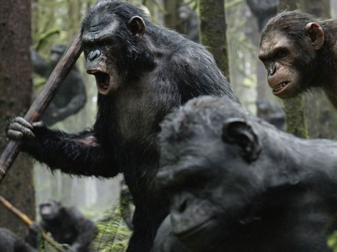 Fotografie z filmu Úsvit Planety opic / Dawn of the Planet of the Apes