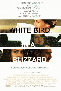 White Bird in a Blizzard - 2014