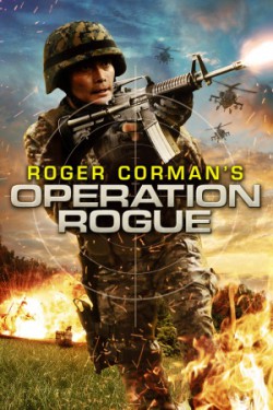 Operation Rogue - 2014