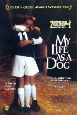 Plakát filmu Můj život jako pes / Mitt liv som hund