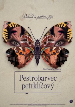 Český plakát filmu Pestrobarvec petrklíčový / The Duke of Burgundy