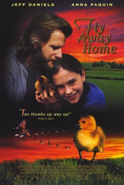 Plakát filmu Cesta domů / Fly Away Home