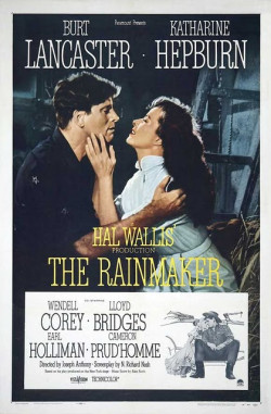 Plakát filmu Obchodník s deštěm / The Rainmaker