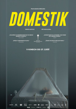 Plakát filmu  / Domestik