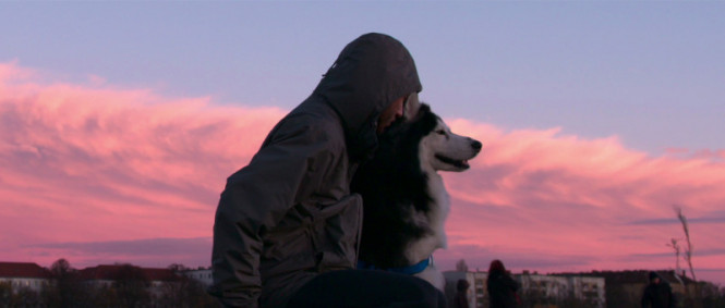 Pes je nejlepším přítelem člověka v dokumentární sérii Dogs 