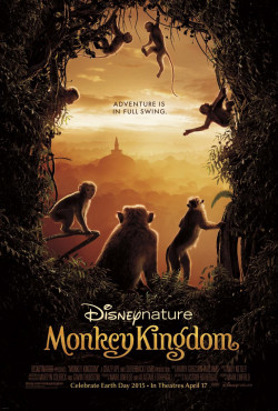 Plakát filmu Království opic / Monkey Kingdom