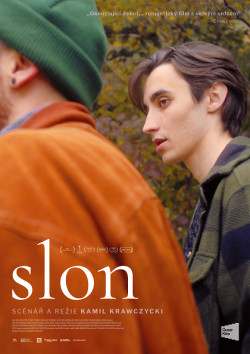 Český plakát filmu Slon / Slon