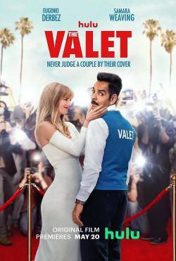 Plakát filmu Neuvěřitelný přítel / The Valet