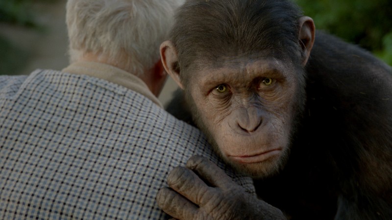 Fotografie z filmu Zrození Planety opic / Rise of the Planet of the Apes