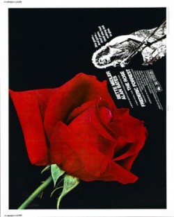 The Rose - 1979