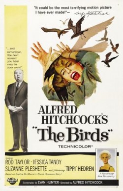 Plakát filmu Ptáci / The Birds