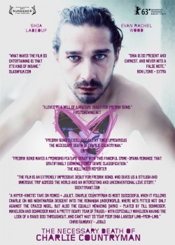 The Necessary Death of Charlie Countryman - 2013