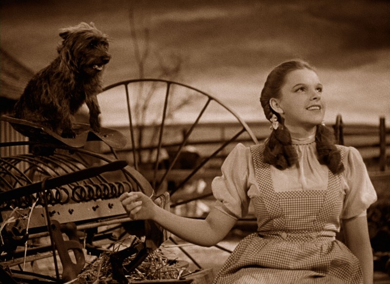 Judy Garland ve filmu Čaroděj ze země Oz / The Wizard of Oz