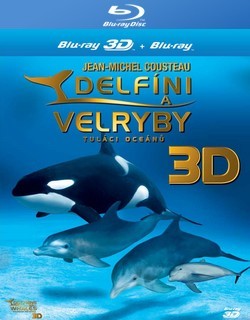 Delfíni a velryby 3D: Tuláci oceánů