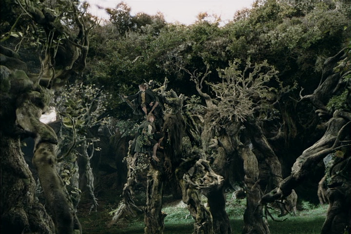 Fotografie z filmu Pán prstenů: Dvě věže / The Lord of the Rings: The Two Towers - Enti, obránci Yavanniných milovaných lesů