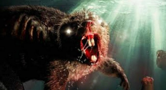 Fotografie z filmu  / Zombeavers