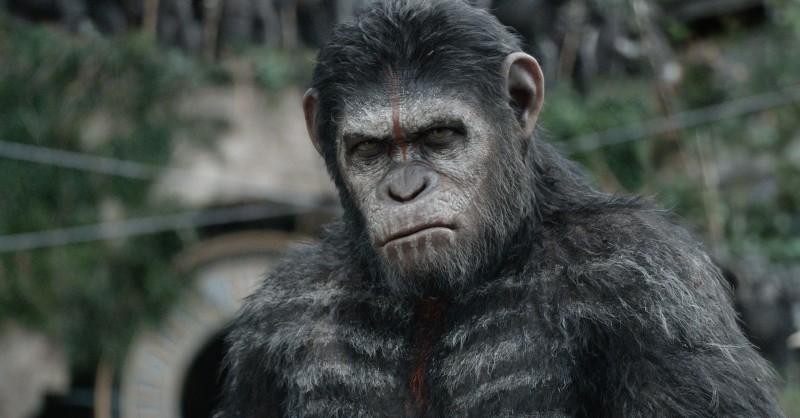 Fotografie z filmu Úsvit Planety opic / Dawn of the Planet of the Apes