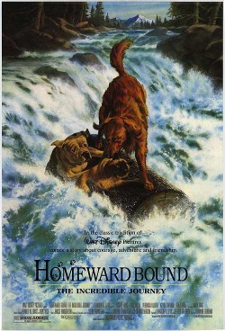 Plakát filmu Neuvěřitelná cesta / Homeward Bound: The Incredible Journey