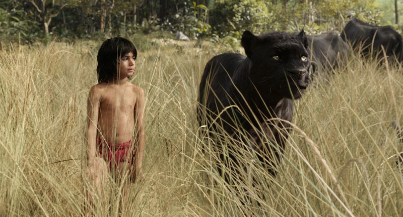 Fotografie z filmu Kniha džunglí / The Jungle Book