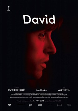Plakát filmu  / David