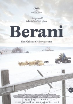 Český plakát filmu Berani / Hrútar