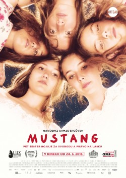 Český plakát filmu Mustang / Mustang
