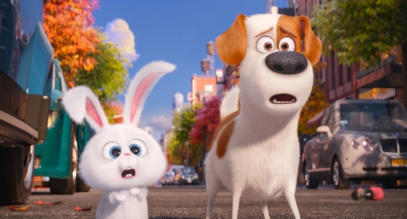 Fotografie z filmu Tajný život mazlíčků / The Secret Life of Pets 