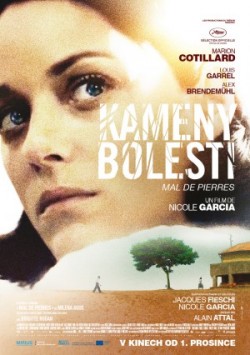 Český plakát filmu Kameny bolesti / Mal de pierres