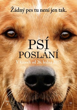 Český plakát filmu Psí poslání / A Dog's Purpose