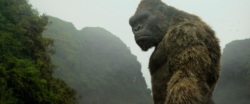 Fotografie z filmu Kong: Ostrov lebek / Kong: Skull Island