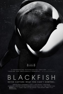 Plakát filmu Černý zabiják / Blackfish