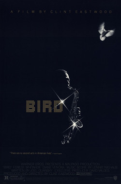 Plakát filmu Bird / Bird