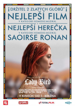 Český plakát filmu Lady Bird / Lady Bird