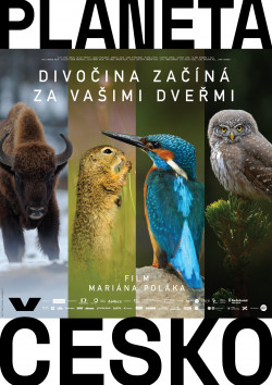Plakát filmu  / Planeta Česko