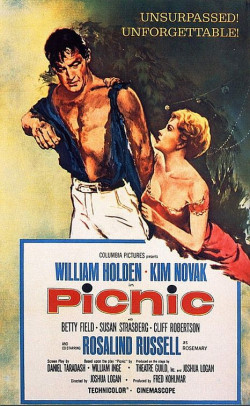 Plakát filmu Piknik u cesty / Picnic