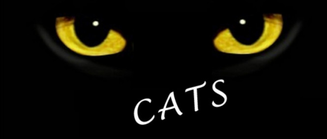 Muzikál Cats od režiséra Bídníků bude mít premiéru na vánoce 2019
