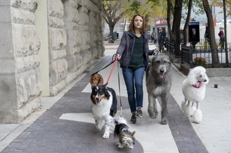 Kathryn Prescott ve filmu Psí poslání 2 / A Dog's Journey