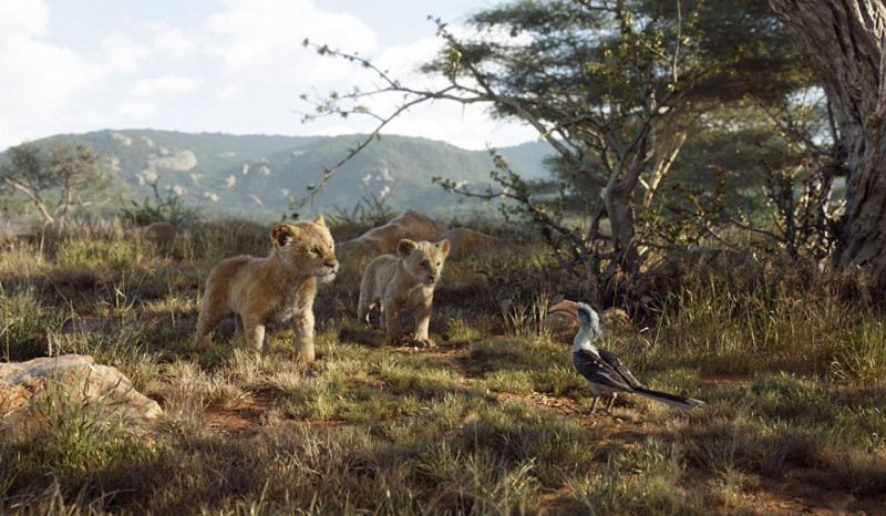 Fotografie z filmu Lví král / The Lion King