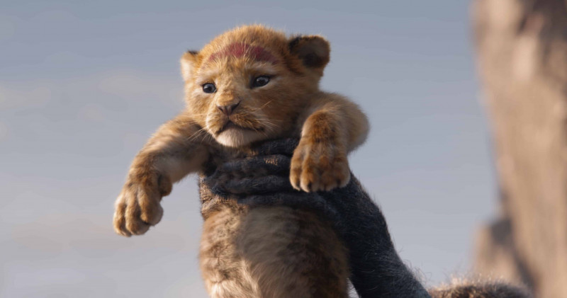 Fotografie z filmu Lví král / The Lion King