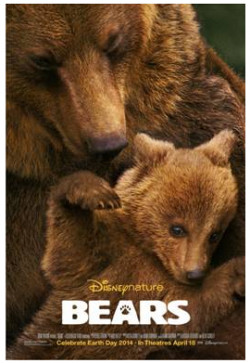 Plakát filmu Medvědi / Bears