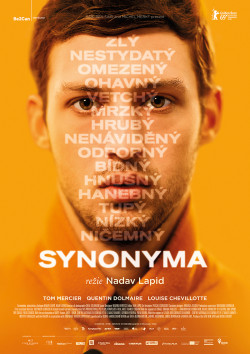 Český plakát filmu Synonyma / Synonymes