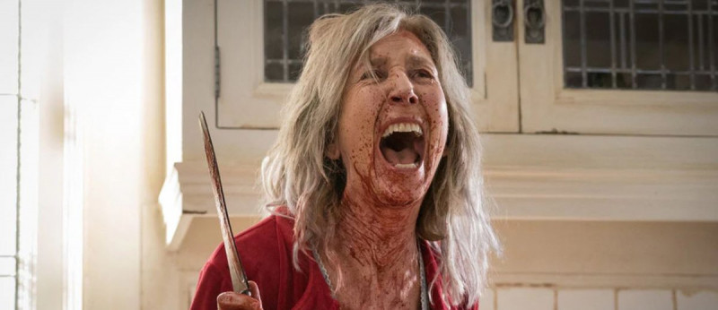 Lin Shaye ve filmu Nenávist / The Grudge