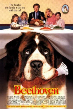 Plakát filmu Beethoven / Beethoven