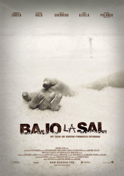 Plakát filmu Šarlatová sůl / Bajo la sal