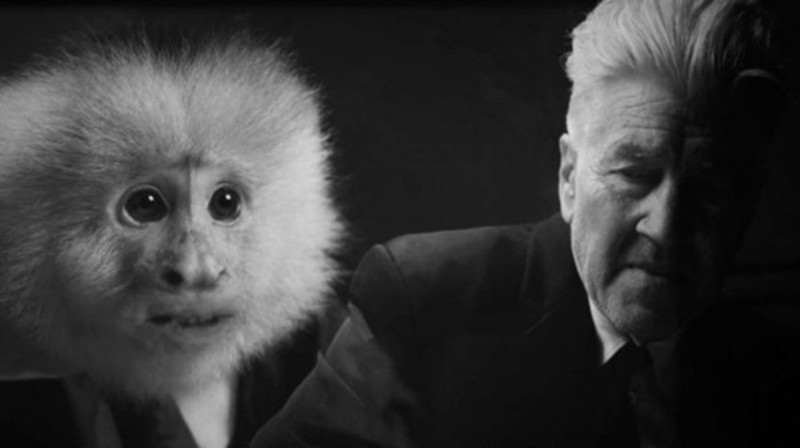 David Lynch ve filmu  / What Did Jack Do?